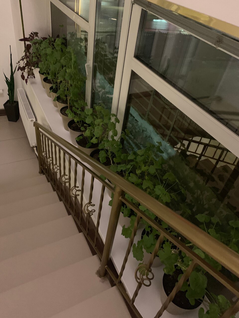 Гостиница Рай Иваново-54