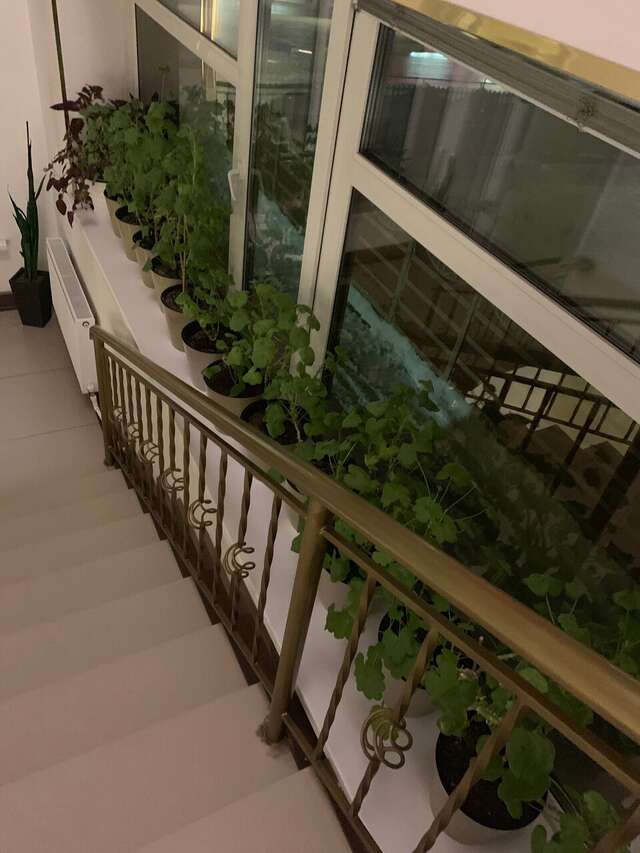 Гостиница Рай Иваново-53